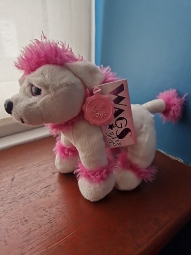 Toy poodle teddy - teddy, teddies