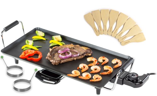 Teppanyaki grill hot plate - grill,
