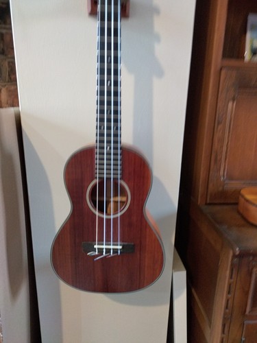 Cort blackwood tenor ukulele - blackwood,