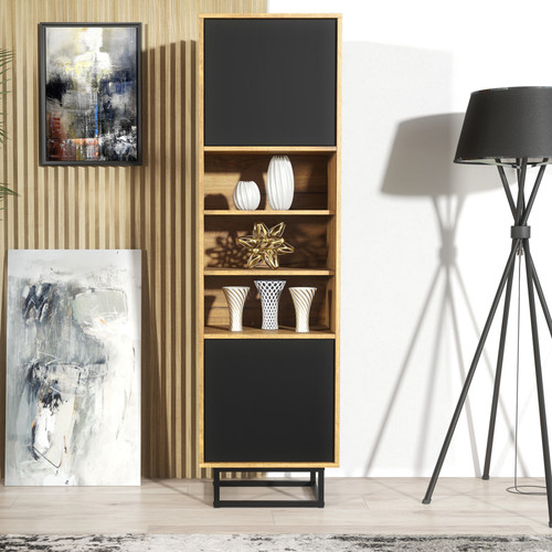 Display cabinet bookcase - cabinet,