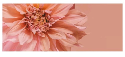 Ikea bjorksta flowers pink - ikea,