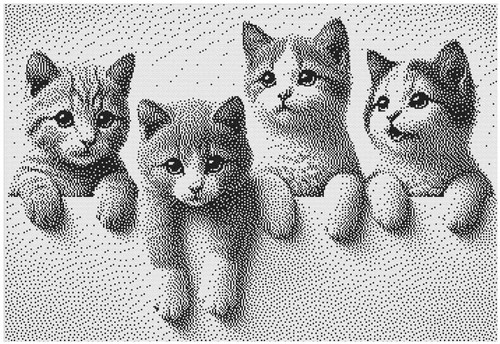Counted cross stitch kit ct - cross, 14