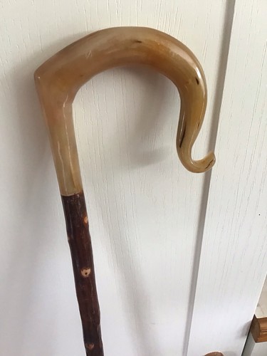 Welsh ram horn hazel shank - ram,
