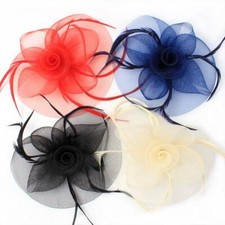 Ladies Hair Fascinator Large Mesh & Feather Beak Clip Brooch Pin Wedding Prom