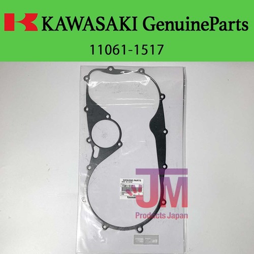 New 1999 2024 - 2024, kawasaki