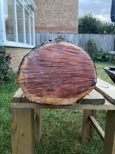 Sealed yew carving blank - carving, |