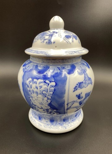 Chinese blue and white ginger - blue,