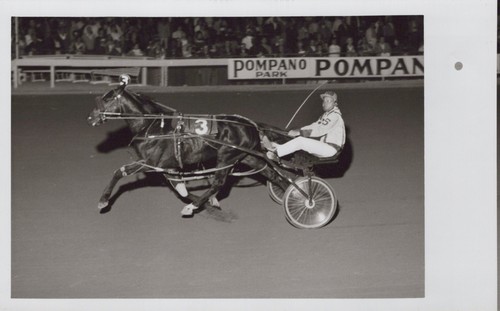Knox hanover pompano park - pompano,