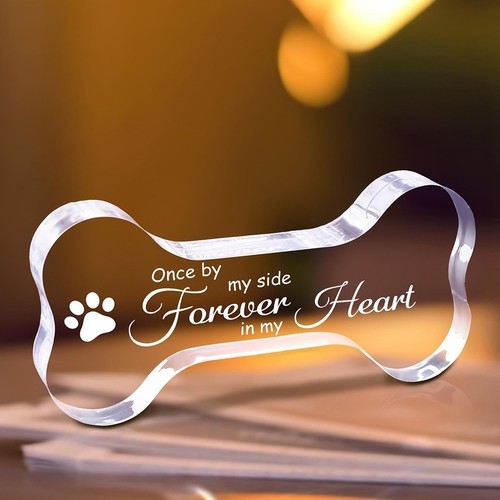 For lost dog lovers acrylic - for,