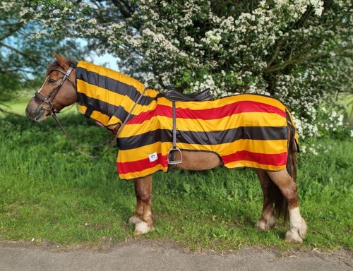 Fly mesh rug for horse - mesh,