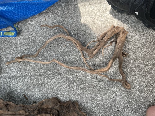 Natural brown driftwood root - brown,