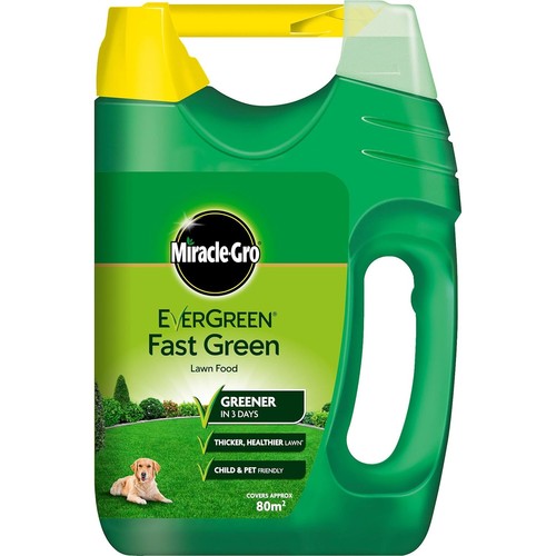 Miracle gro evergreen fast - evergreen,