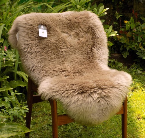 Large light taupe - large,