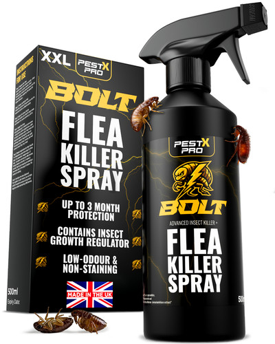 Pest pro flea - pest, x