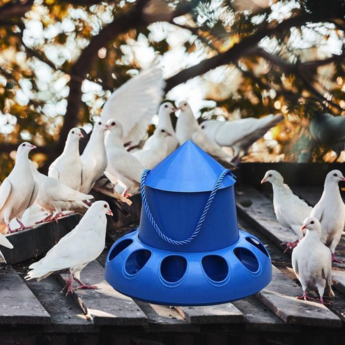 Chicken feeder bird automatic - chicken,