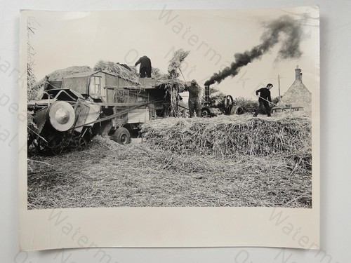 Steam traction engine - steam,