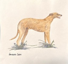 Lurcher Original Watercolor Painting By British Artist Sandra Coen