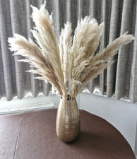 Pampas Grass 10PC Bouquet