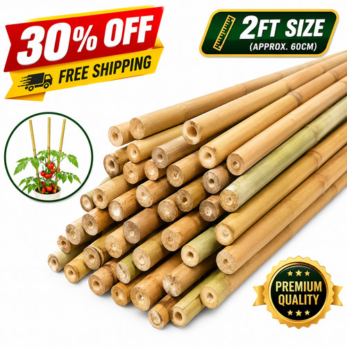 2ft strong heavy duty - strong,