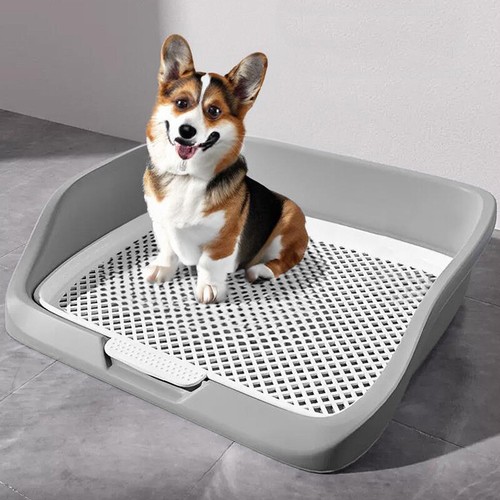 Puppy dog toilet mat indoor - puppy,