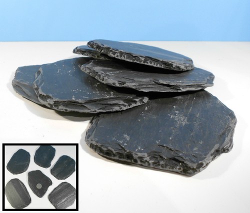 Large new natural - 6x, flat