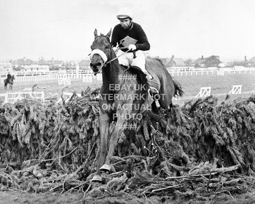 1973 red rum brian fletcher - 1973,