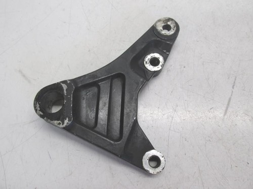 Rear brake caliper support - rear,