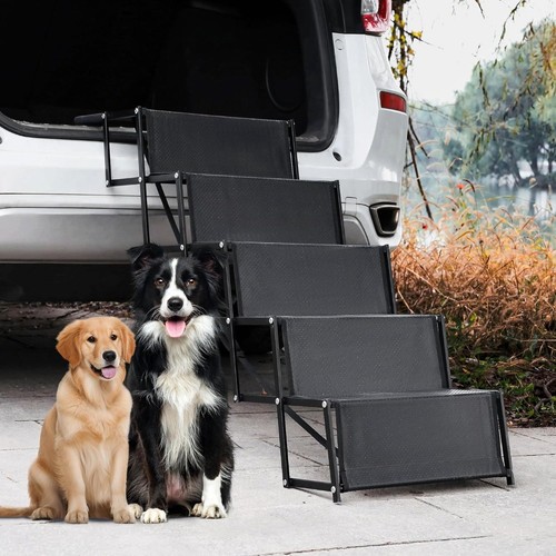 Dog car ramp - car,