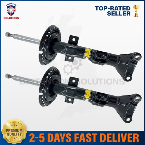 Front air suspension - suspension, shock