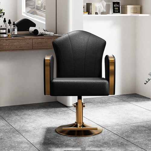 Pro salon barber chair - barber, height