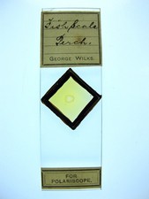 Antique microscope slide by George Wilks. "Fish scale. Perch".