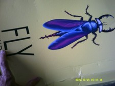 BOOTS[FLY LONDON NAOMI]