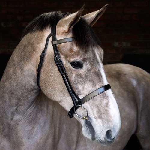 Cottage craft cavesson bridle - cavesson,