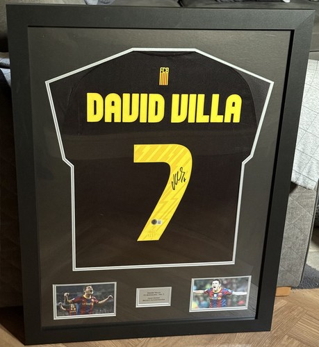 David villa signed framed - villa,