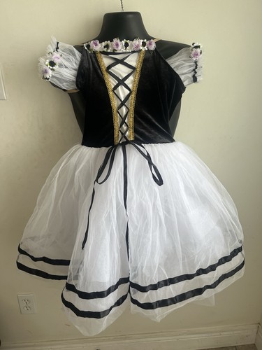 Professional tutu ballet - professional,