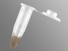 crustacean(clam shrimp eggs)