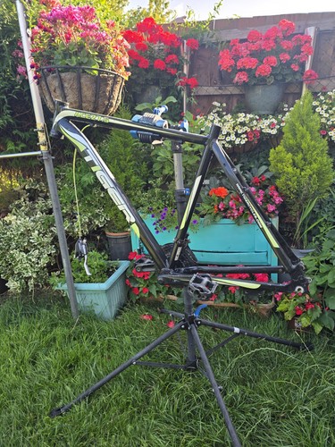 Tiger ace alloy mtb - ace, frame
