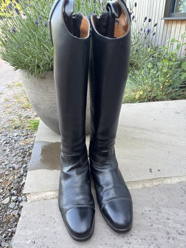 Brogini dressage long - long, black