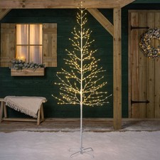 White Birch Twig Tree Micro