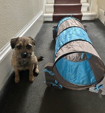 Dog Agility Tunnel 1 metre long - Dog Training - Small Dog