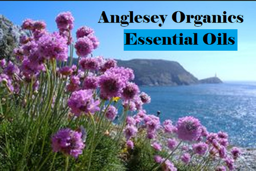 Organic wild grown premium - organic,wild,