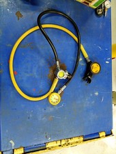 APEKS PONY REG WITH EGRESS +