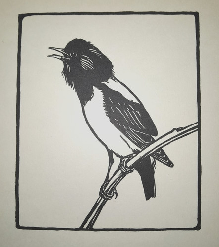Starling peter scott - peter,