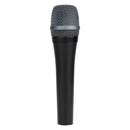 Professional dynamic vocal - professional,