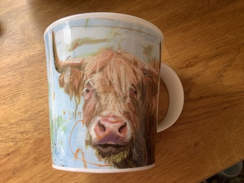 Dunoon highland cow on - dunoon,