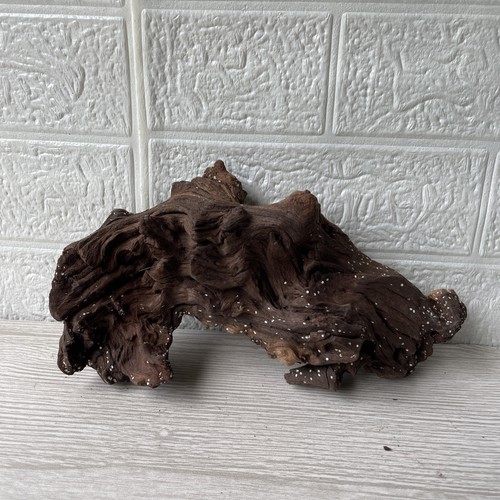 Bogwood driftwood fish - bogwood,
