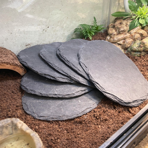 Six reptile basking pads - basking,