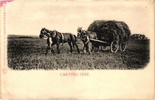 Postcard   Shire Horses Pulling Hay Cart