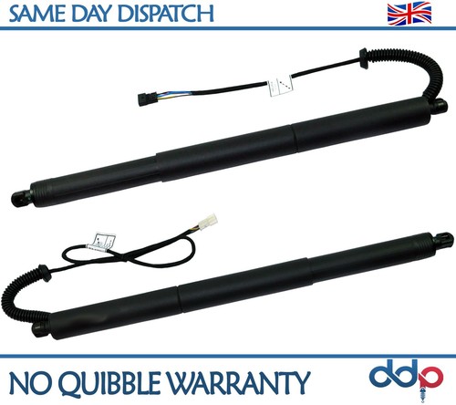 Rear gas strut - rear, auto