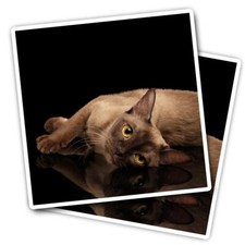 2x Vinyl Stickers Burmese Cat